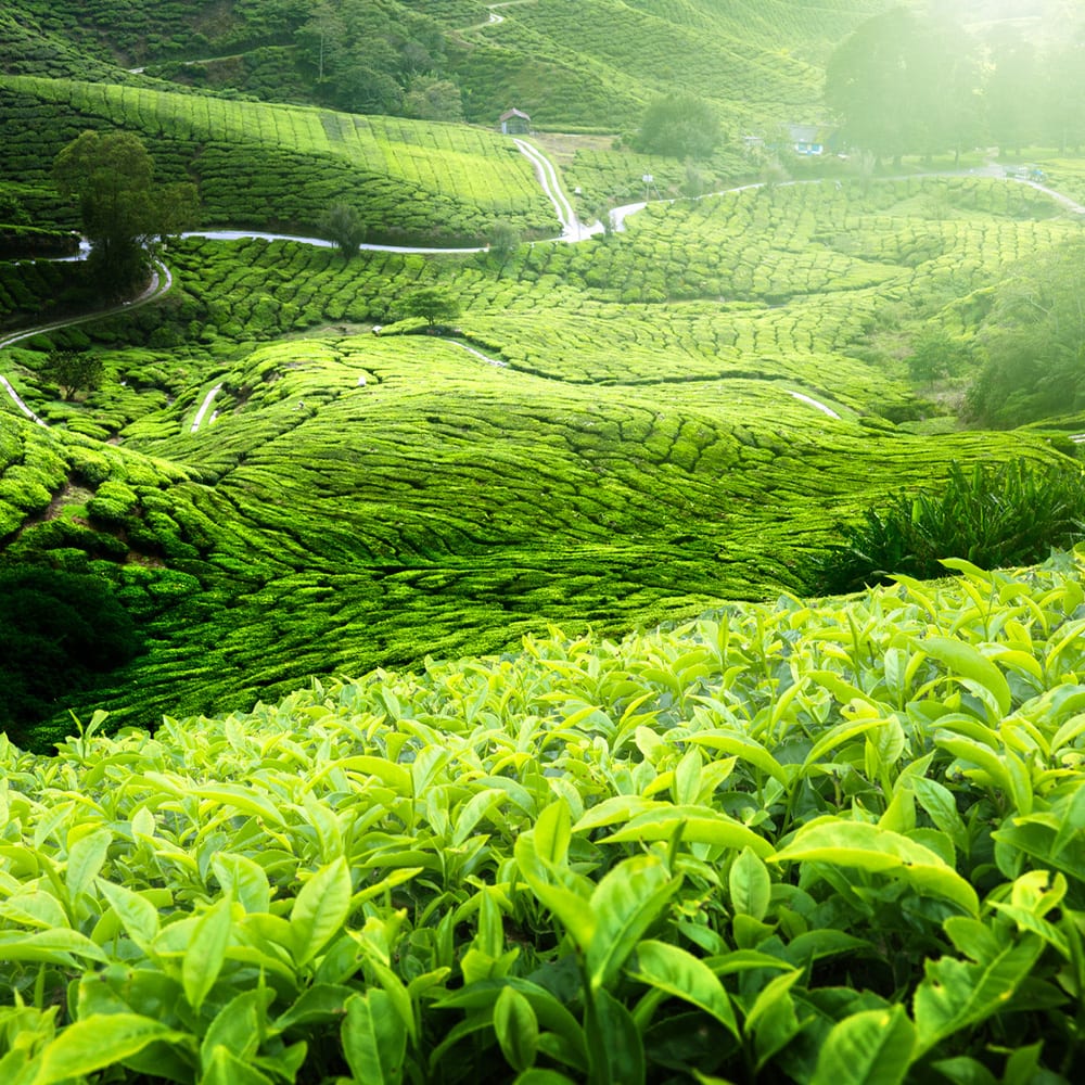 charte eco conception interparfums finance france charte eco conception interparfums finance france