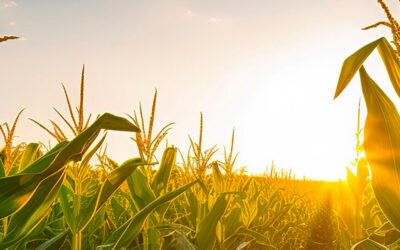 Interparfums accompagne les agriculteurs dans la transformation de leur exploitation en agriculture durable